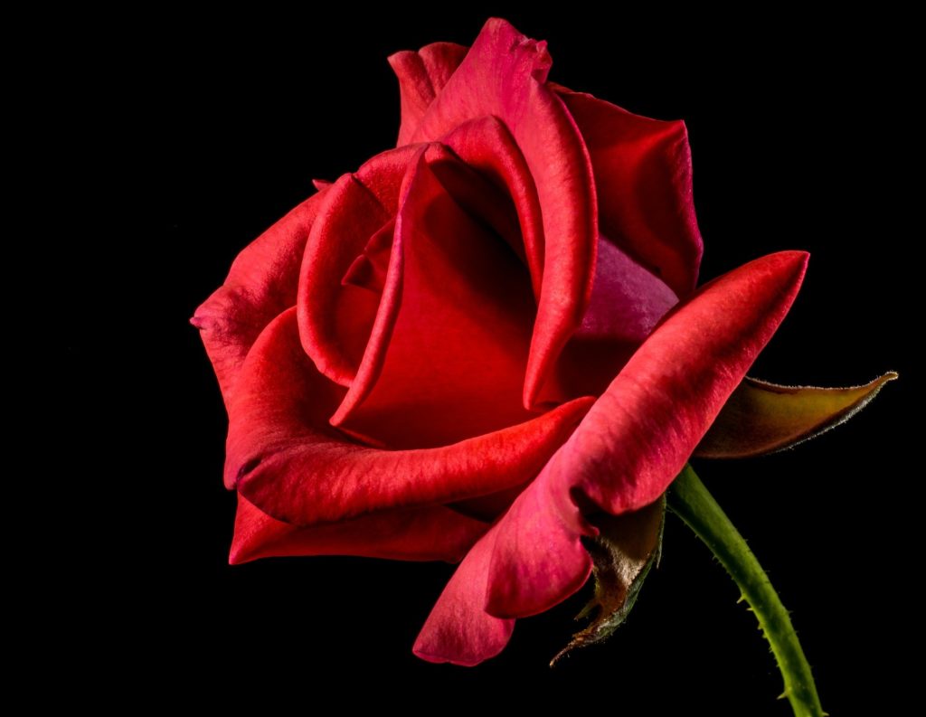 Contoh foto Desain Romantis2